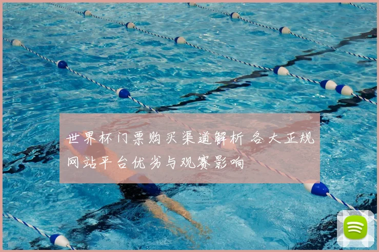 世界杯门票购买渠道解析 各大正规网站平台优劣与观赛影响