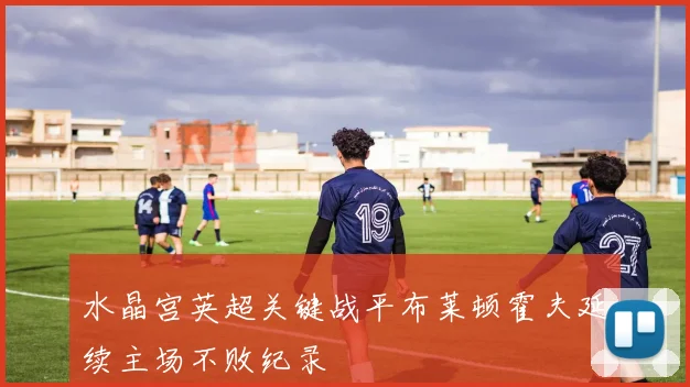 水晶宫英超关键战平布莱顿霍夫延续主场不败纪录