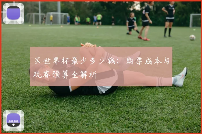 买世界杯最少多少钱：购票成本与观赛预算全解析