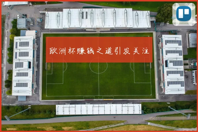 欧洲杯赚钱之道引发关注