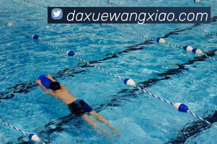 App Interface Preview